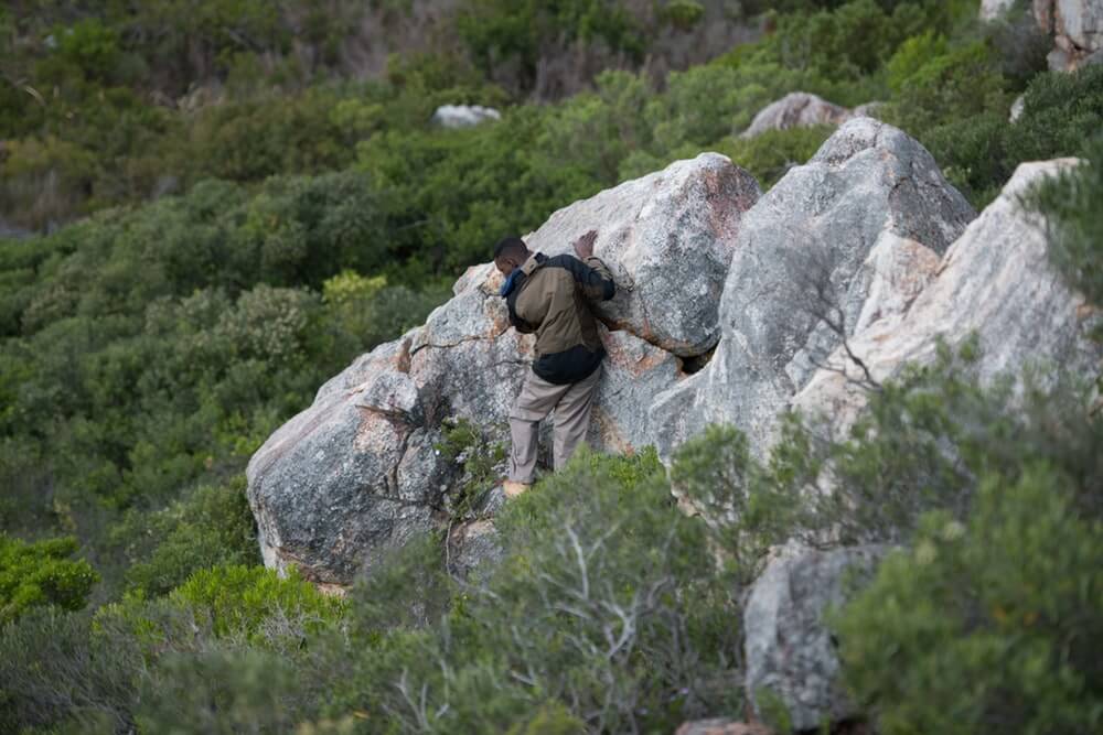 Looking near rocks for some wood.