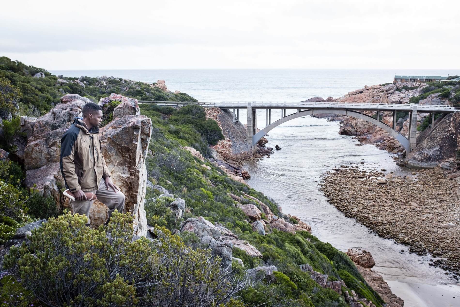 Boniface overlooking a bridge on his forage.