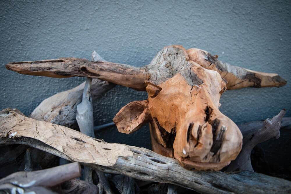 A partially formed wooden head.