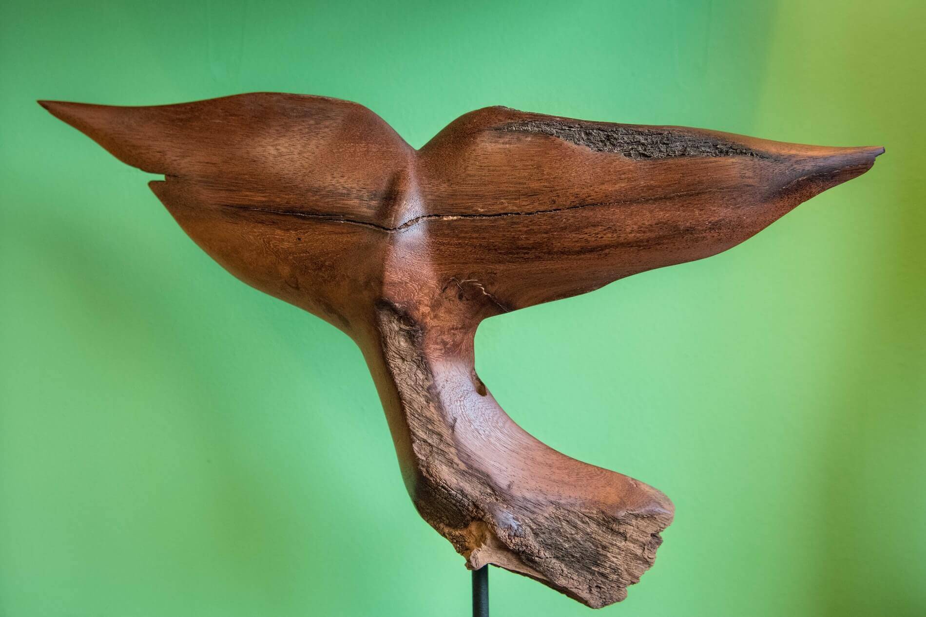 A finished whale tail wood sculpture by Boniface of Unique Driftwood Creations.